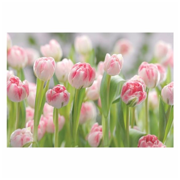 FOTOTAPETA 8-DELNA  SECRET GARDEN 368X254 CM KOMAR