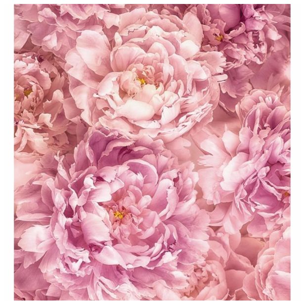 FOTOTAPETA-SOAVE 184 X 248 CM KOMAR