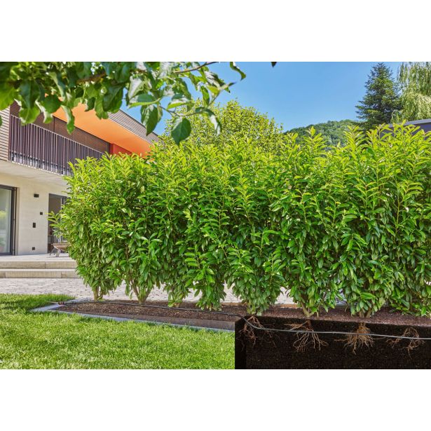 GARNITURA ZA ZALIVANJE GARDENA MD NAMAKALNI SET ZA ŽIVE MEJE 50M