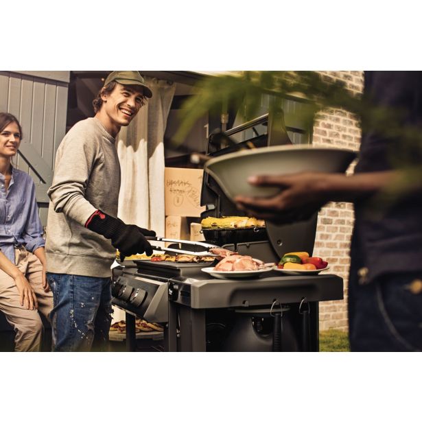 PLINSKI ŽAR WEBER GENESIS II E-310 GBS