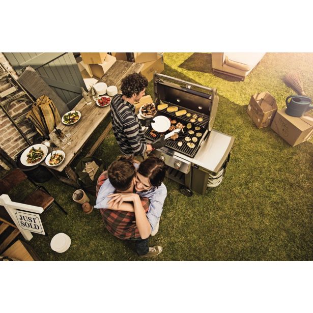 PLINSKI ŽAR WEBER GENESIS II E-310 GBS