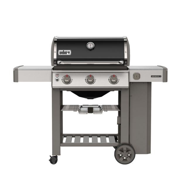 PLINSKI ŽAR WEBER GENESIS II E-310 GBS