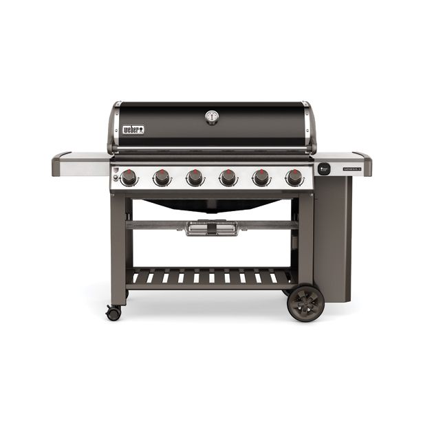 PLINSKI ŽAR WEBER GENESIS II E-610 GBS