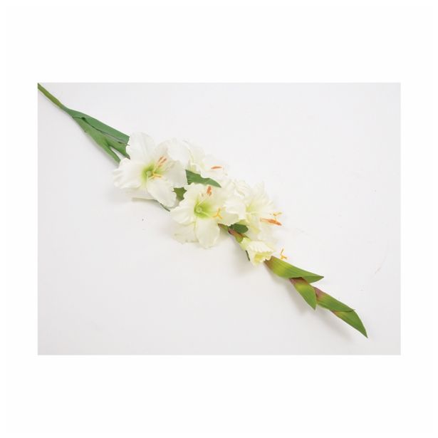 SVILENO CVETJE GLADIOLA ENOJNA KREM