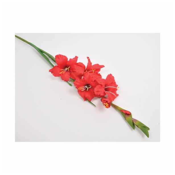SVILENO CVETJE GLADIOLA ENOJNA RDEČA