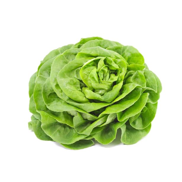 LISTNA ZELENJAVA L'ORTO FRUTTIFERO GLAVNATA SOLATA 8/1 ELIANA KULTIPAK