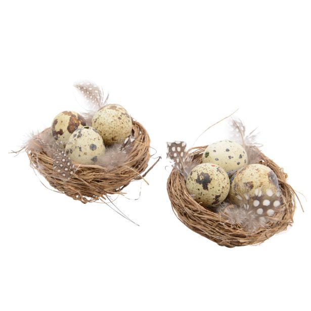 GNEZDO Z JAJCI IN PERJEM, 2/1