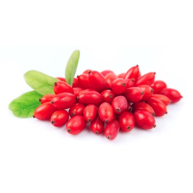 JAGODIČEVJE L'ORTO FRUTTIFERO GOJI JAGODA 1/1 DELLA LONGEVITA L14