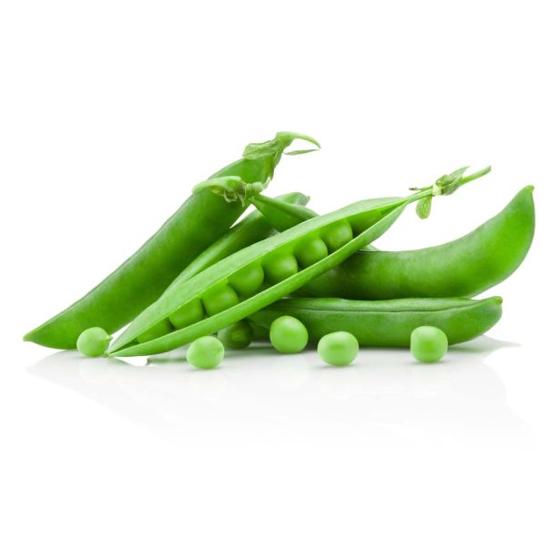 STROČNICE L'ORTO FRUTTIFERO GRAH 6/1 MEZZARAM UTRILLO KULTIPAK