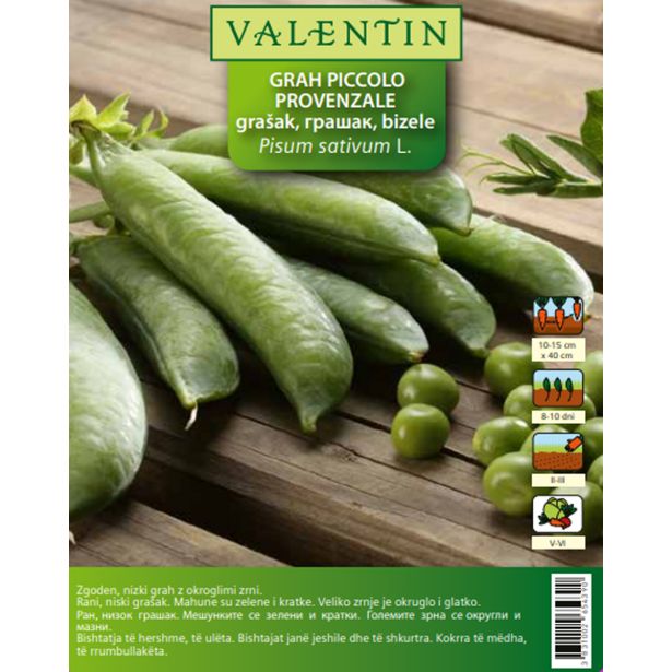STROČNICA VALENTIN GRAH PICCOLO PROVENZALE 80 G