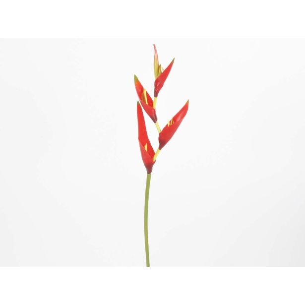 UMETNO CVETJE HELIKONIJA 69CM RDEČA