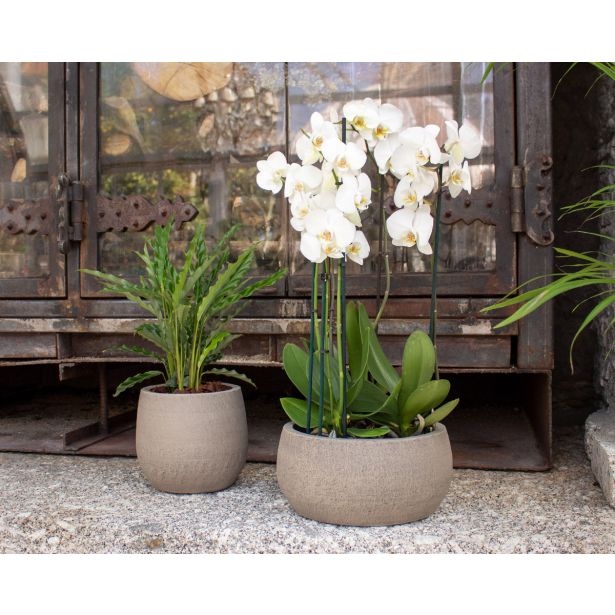 KERAMIČNI NOTRANJI LONEC HEMERA SKLEDA 29 CM TAUPE