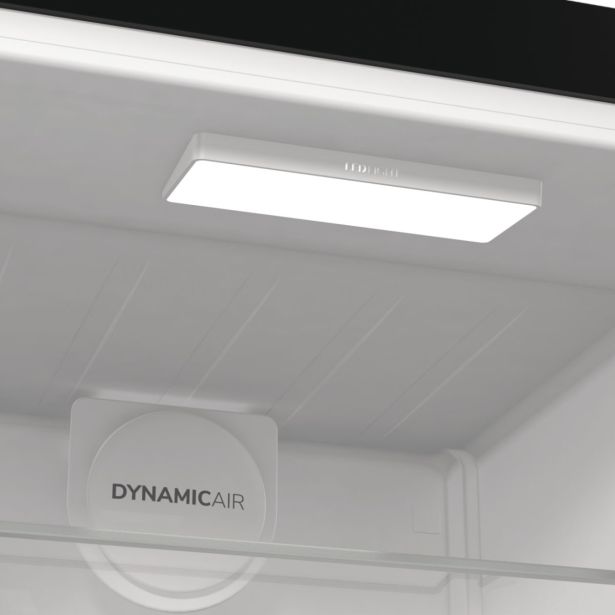 HLADILNIK GORENJE R619EABK6