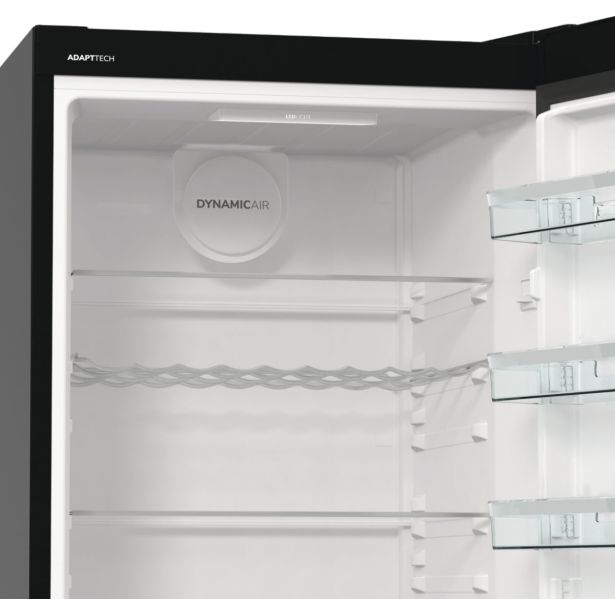HLADILNIK GORENJE R619EABK6