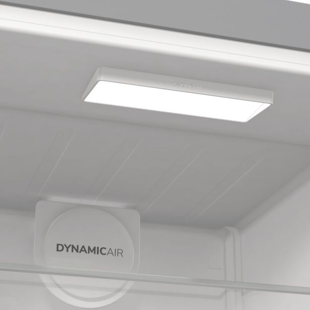 HLADILNIK GORENJE R619EAXL6