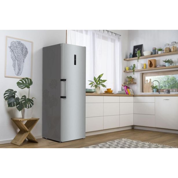 HLADILNIK GORENJE R619EAXL6