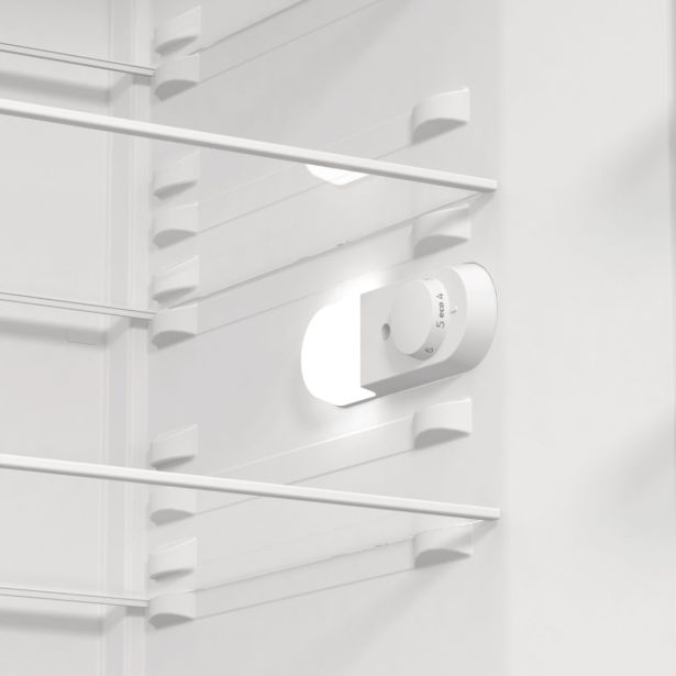 HLADILNIK GORENJE R619EES5