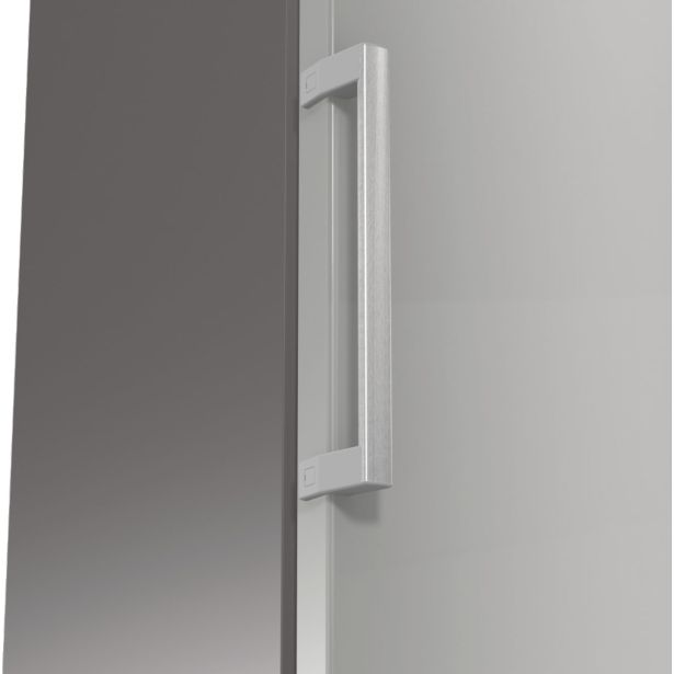 HLADILNIK GORENJE R619EES5