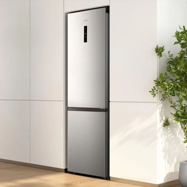 HLADILNIK IN ZAMRZOVALNIK GORENJE NRK620EAXL4