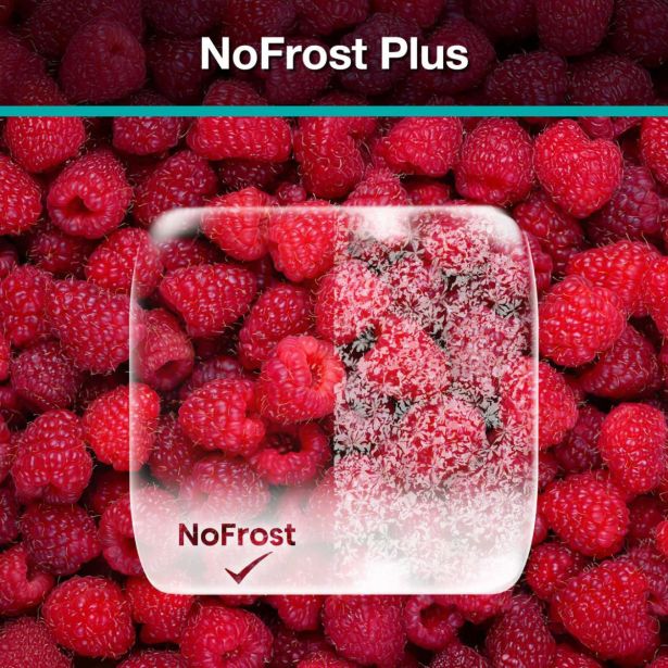 HLADILNIK IN ZAMRZOVALNIK GORENJE NRK720EAXL4