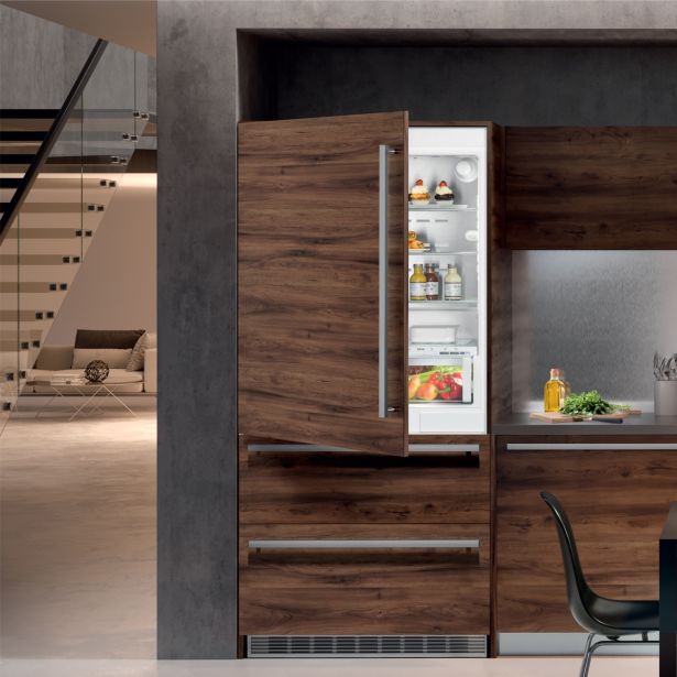 HLADILNIK IN ZAMRZOVALNIK LIEBHERR ECBN 6256