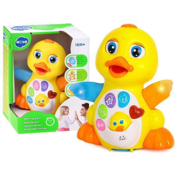 HOLA PLESOČA RAČKA 808