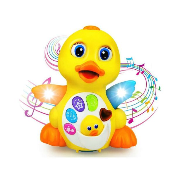 HOLA PLESOČA RAČKA 808