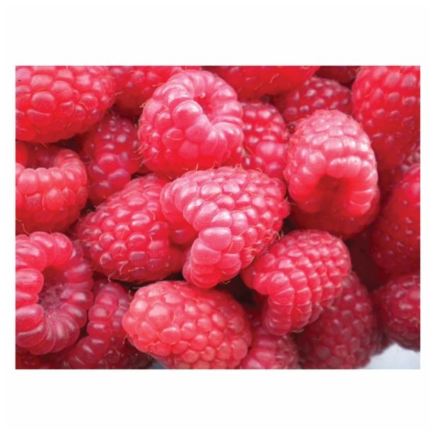 MALINA VOLMARY RDEČA L17