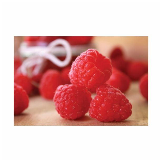 MALINA VOLMARY ZGODNJA L17