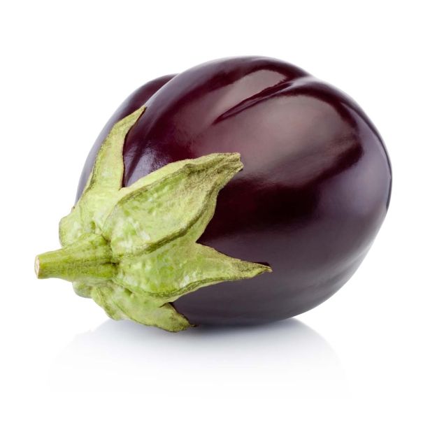 PLODOVKE L'ORTO FRUTTIFERO JAJČEVEC 1/1 BLACK BEAUTY L10