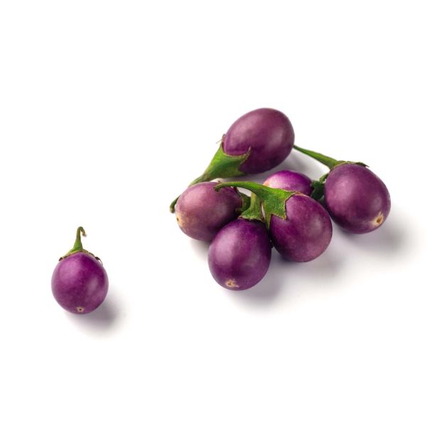 PLODOVKE L'ORTO FRUTTIFERO JAJČEVEC GENOVESE 4/1 KULTIPAK