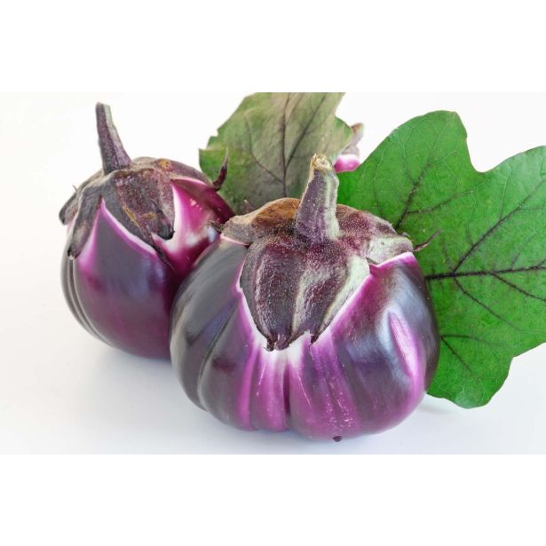 PLODOVKE JAJČEVEC PROSPEROSA 1/1 TONDA VIOLETTA L10