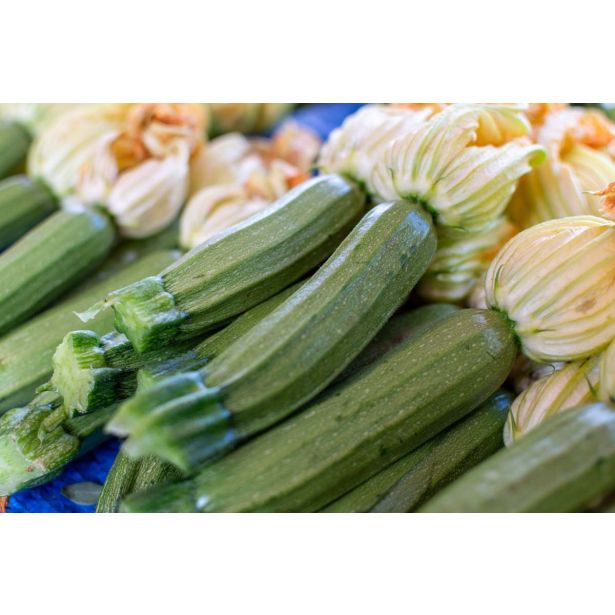 PLODOVKE L'ORTO FRUTTIFERO GRMIČASTA BUČKA 1/1 ALTEA F1 L10