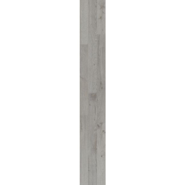 LAMINAT, 7MM, 31. RAZRED SUPERIOR STANDARD JESENSKI HRAST SIVI D 4952