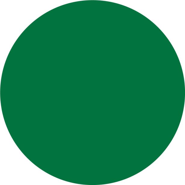 POKRIV.PREM.ZA KOV.,LES JUB JUBIN DECOR UNIVERSAL ZELENI 6 0.65 L