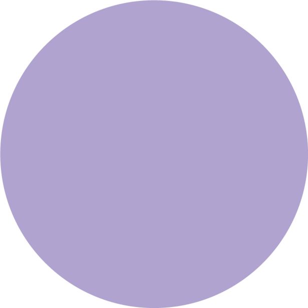 PRIPRAVLJENA BARVA JUB JUPOL TREND LAVANDA 430 2.5 L