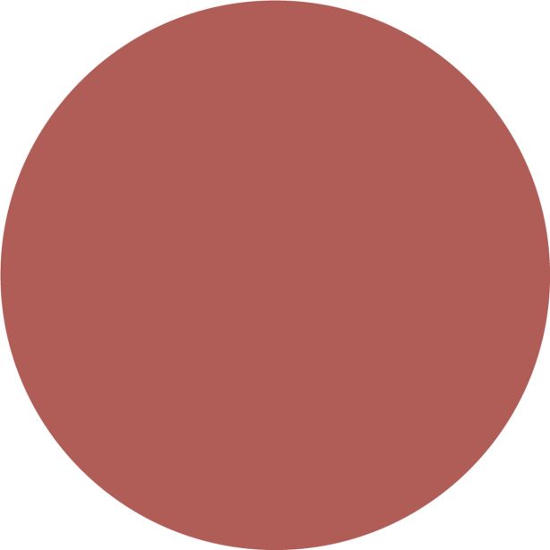 PRIPRAVLJENA BARVA JUB JUPOL TREND MERLOT 425 2.5 L