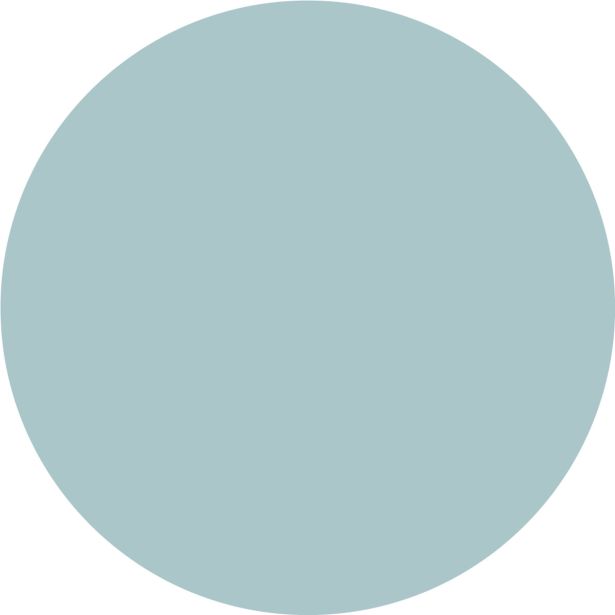 PRIPRAVLJENA BARVA JUB JUPOL TREND MINT 456 2.5 L