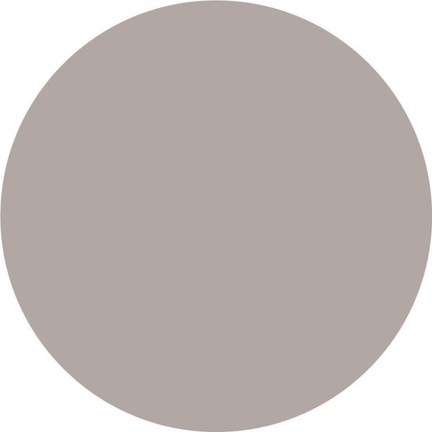 PRIPRAVLJENA BARVA JUB JUPOL TREND MOCCA 465 2.5 L