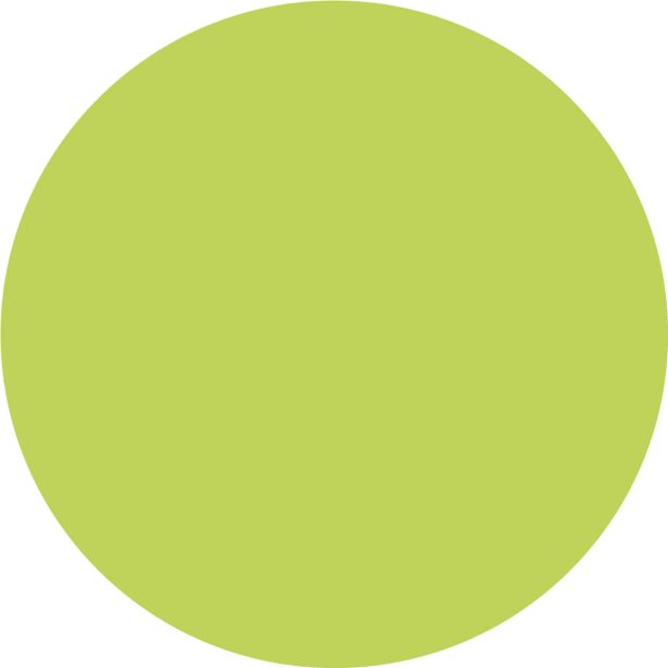 PRIPRAVLJENA BARVA JUB JUPOL TREND OLIVE 452 2.5 L