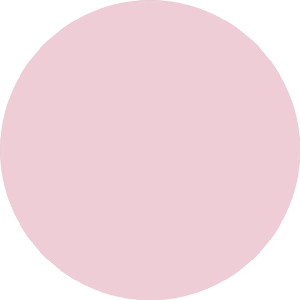 PRIPRAVLJENA BARVA JUB JUPOL TREND PINK GIN 426 2.5 L