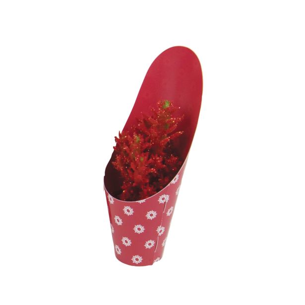 KAKTUS KAKTUS NOVO LETO