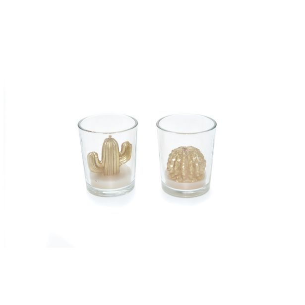 SVEČA V KOZARCU KAKTUS ZLAT