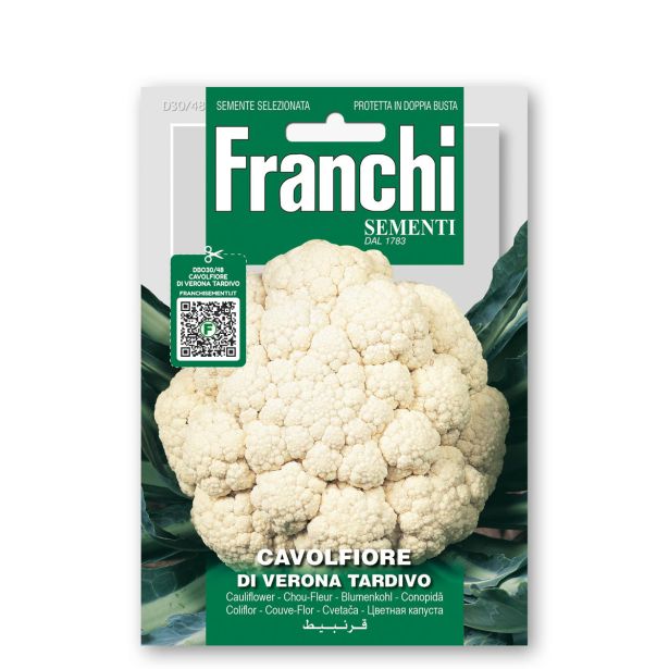 KAPUSNICA FRANCHI SEMENTI CVETAČA VERONA