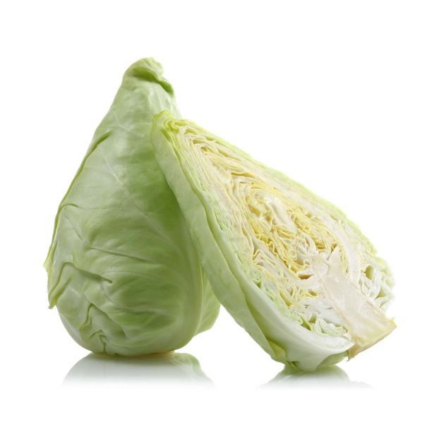 KAPUSNICE L'ORTO FRUTTIFERO ZELJE 4/1 L.9 CAPE HORN F1 (70/80GG