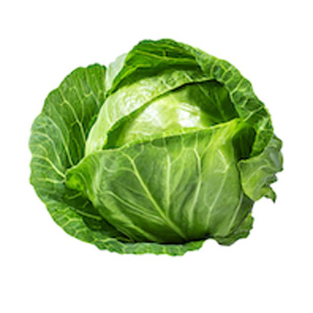 KAPUSNICE ZELJE BELO 6 KOS