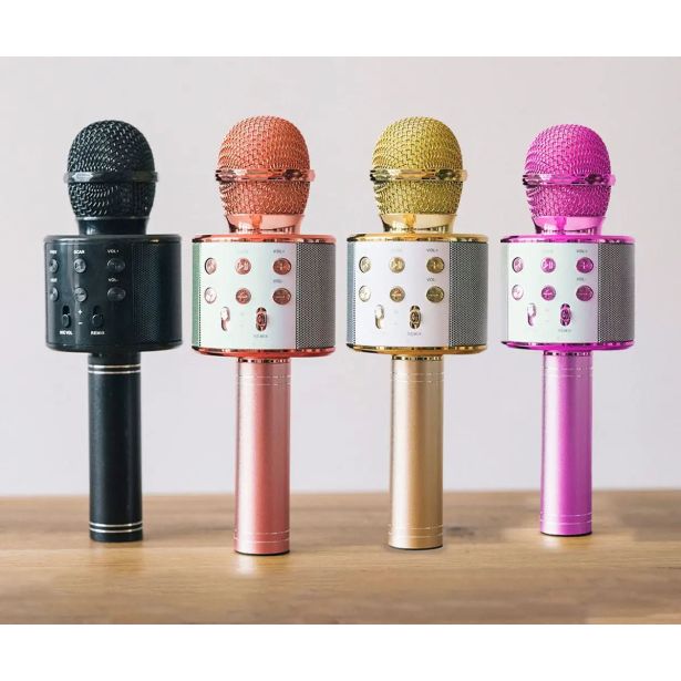 KARAOKE FOREVER BMS-300 LITE MIKROFON + ZVOČNIK