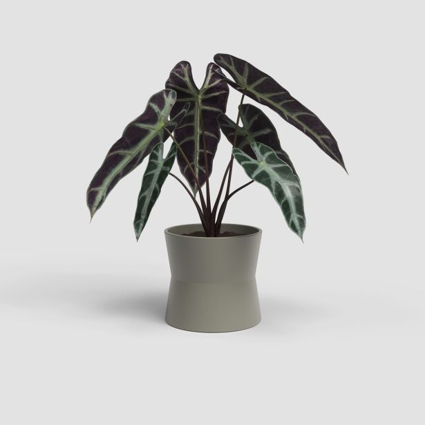 KERAMIČNI NOTRANJI LONEC ARTEVASI DIANA 11 CM TAUPE