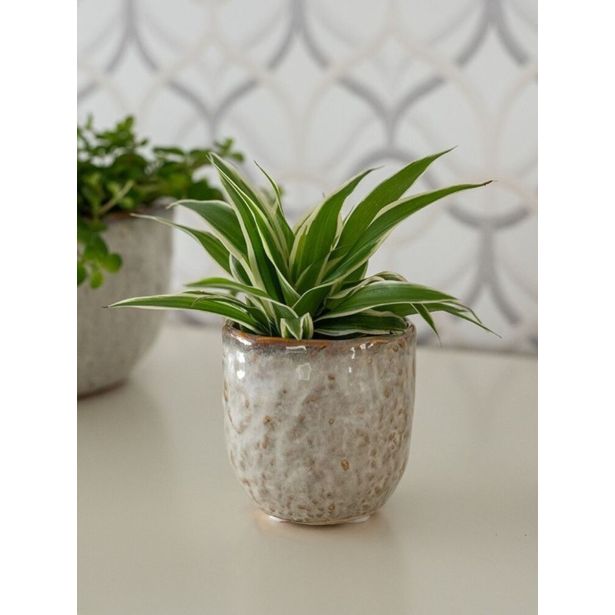 KERAMIČNI NOTRANJI LONEC TS BRIAN IVORY 18 V17 CM