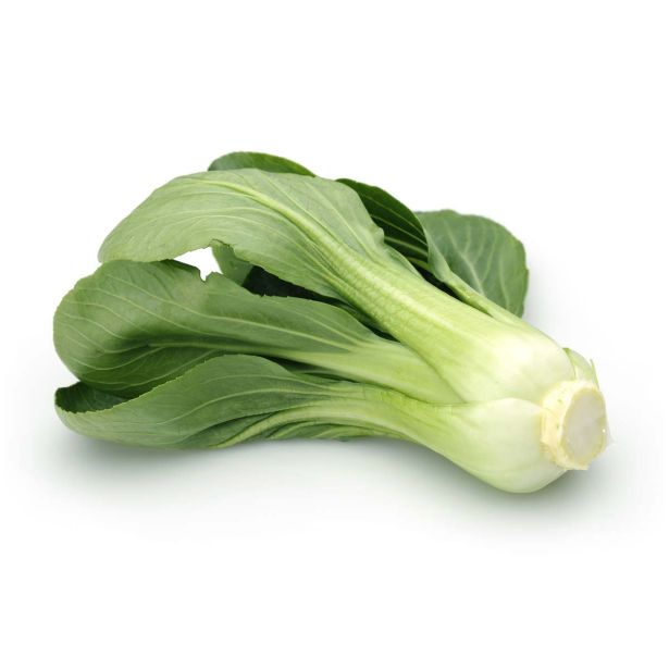 KAPUSNICE L'ORTO FRUTTIFERO KITAJSKO ZELJE 4/1 YUKI F1 KULTIPAK